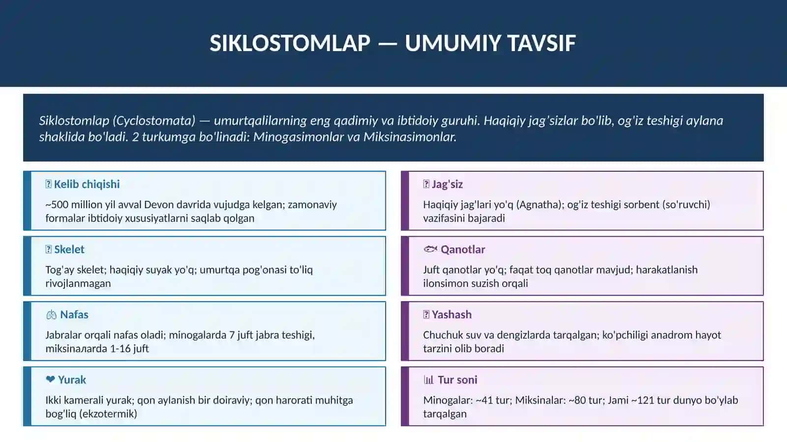 MINOGASIMONLAR VA MIKSINASIMONLAR 3