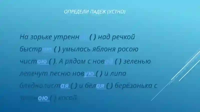 Склонение прилагательных 3