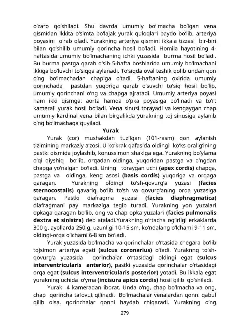 Qon tomirlar tizimi haqidagi ilm-angiologiya 3