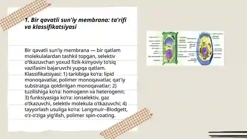 Bir va ikki qavatli sun'iy membranalar 3