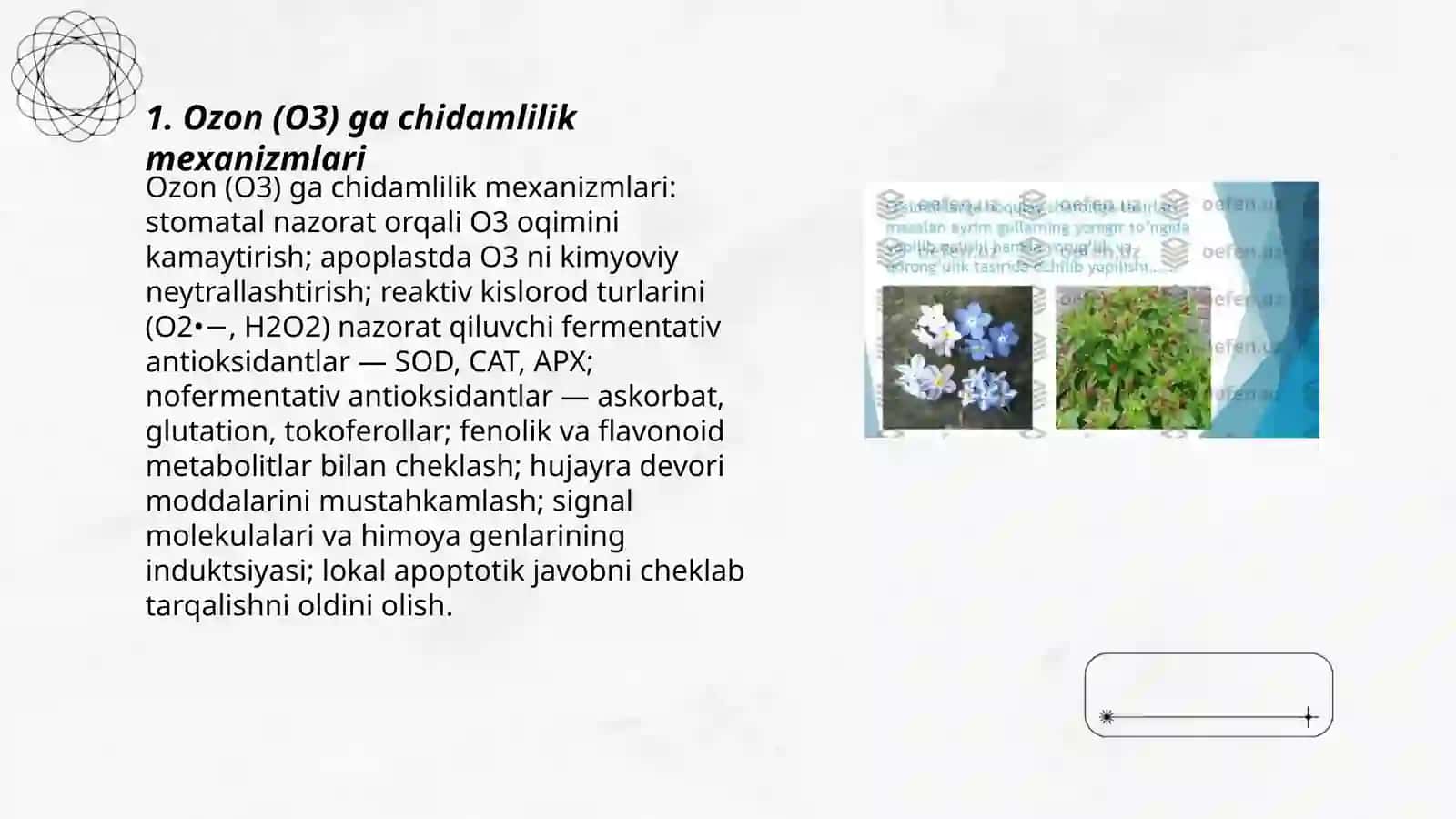 O'simliklarning gazlarga chidamliligi 3