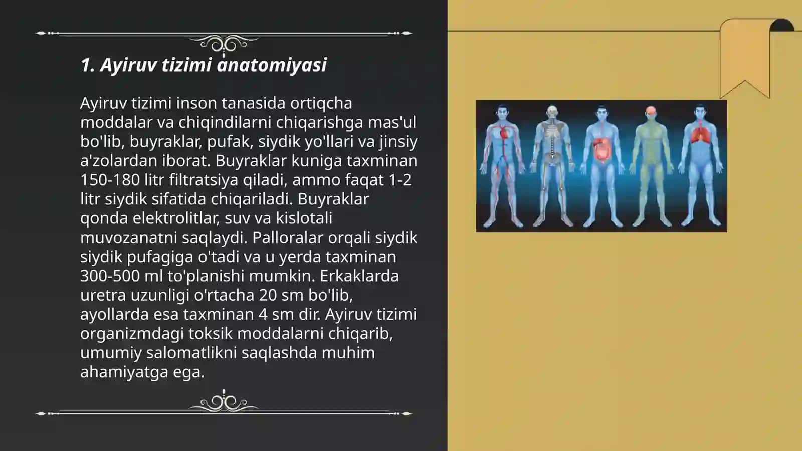 Ayiruv fizoplogiyasi 3