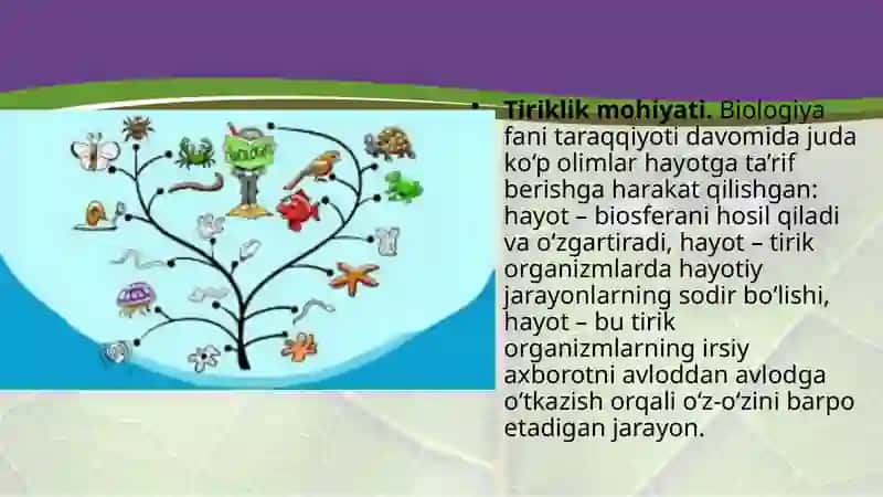 Tiriklik (Hayotning asosiy shakllari) 3