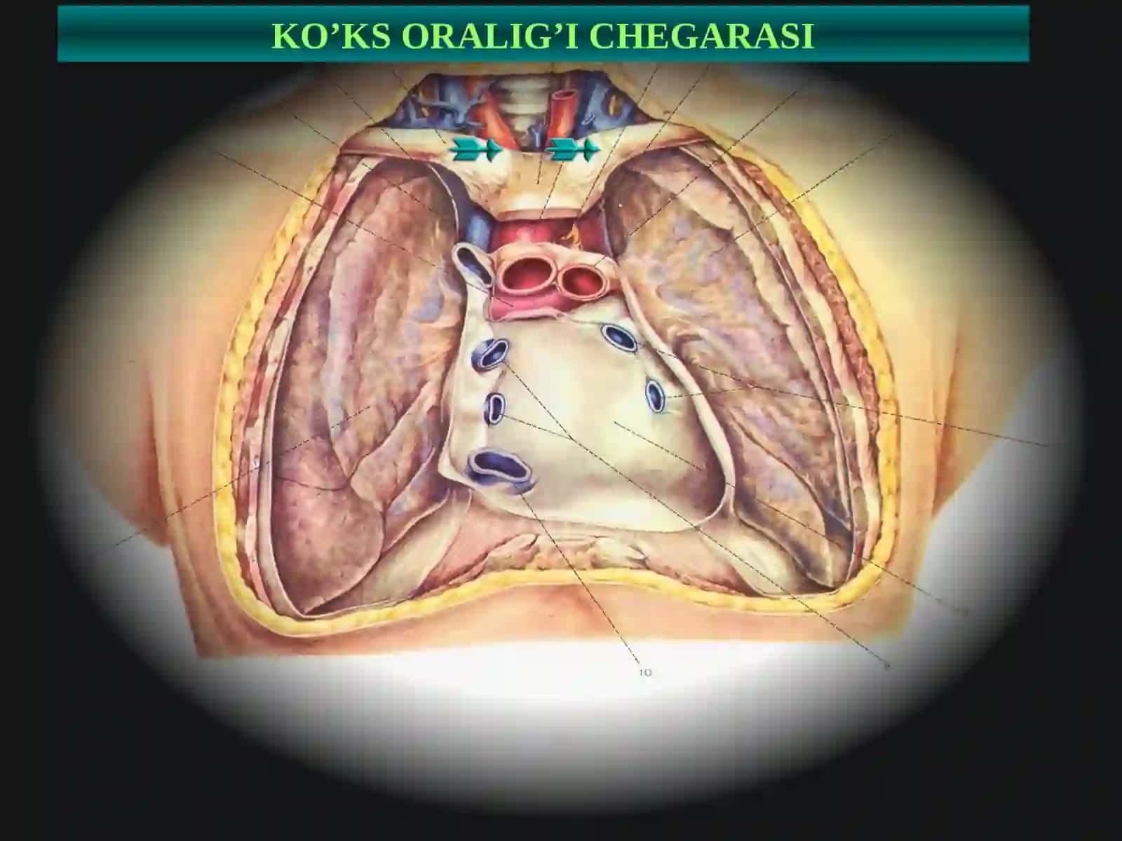 Ko‘ks oralig‘i kasalliklari 3