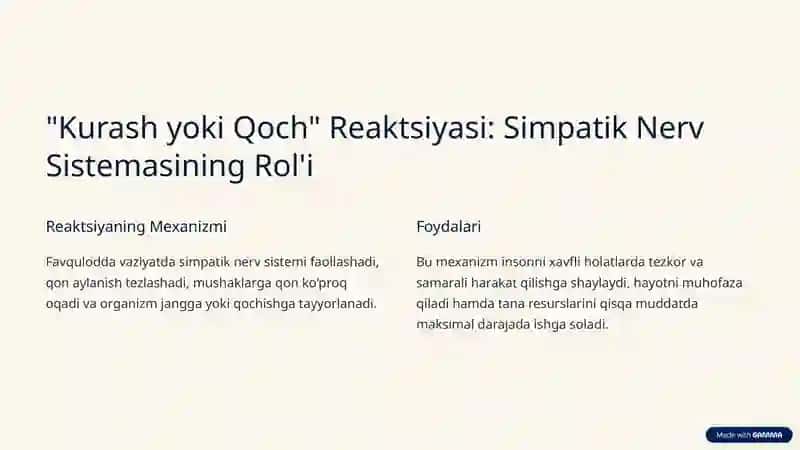 Simpatik Nerv Sistemasi 3
