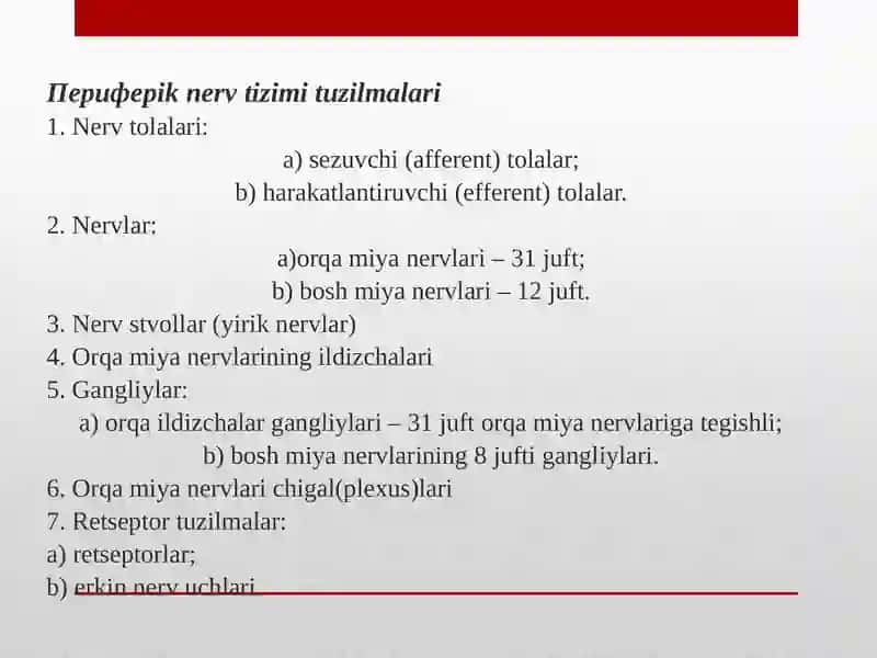Periferik nerv tizimi funksional anatomiyasi 3