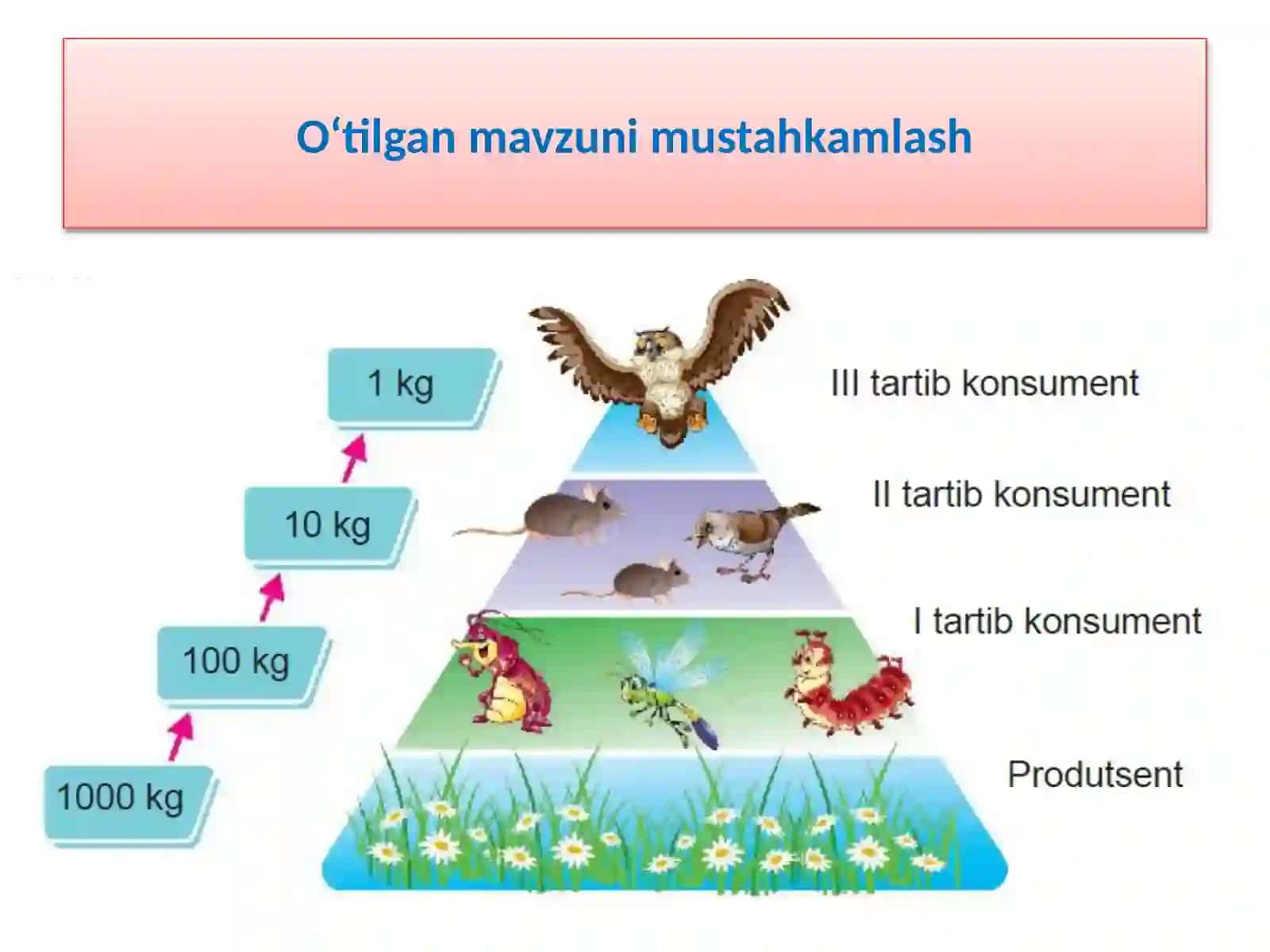 TOZA ICHIMLIK SUVINI OLISH 3