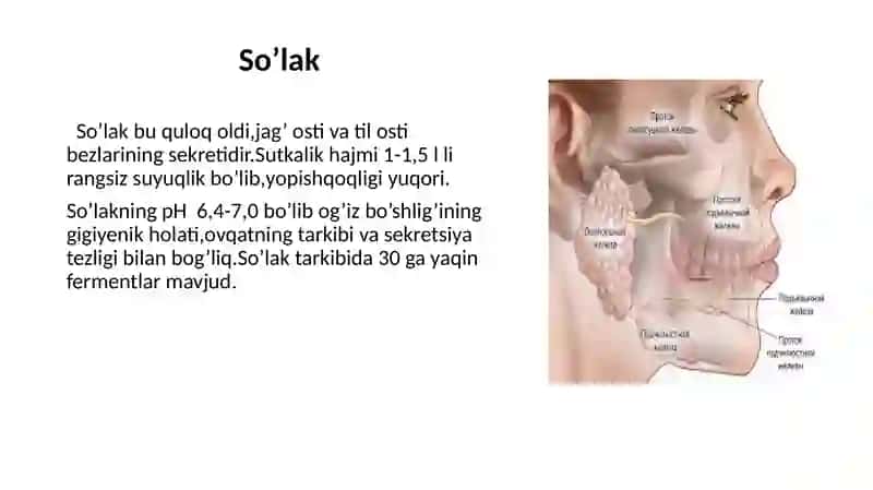 Oshqozon-ichak tizimi biokimyosi 3