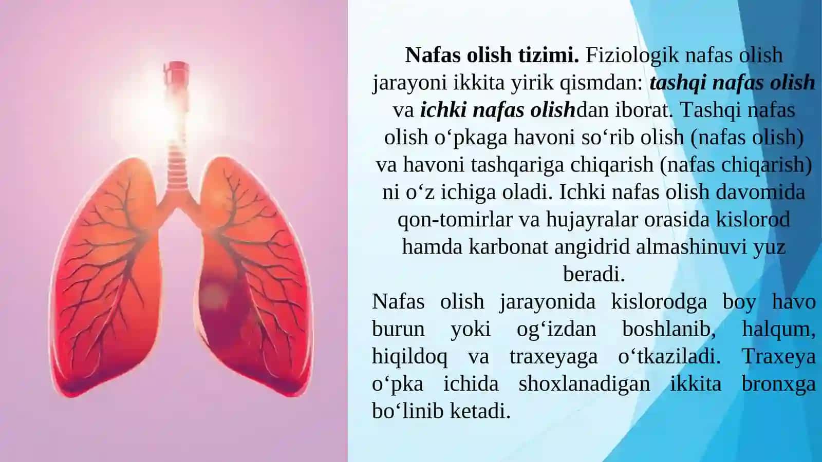 NAFAS OLISH ORGANLARINING TUZILISHI 3
