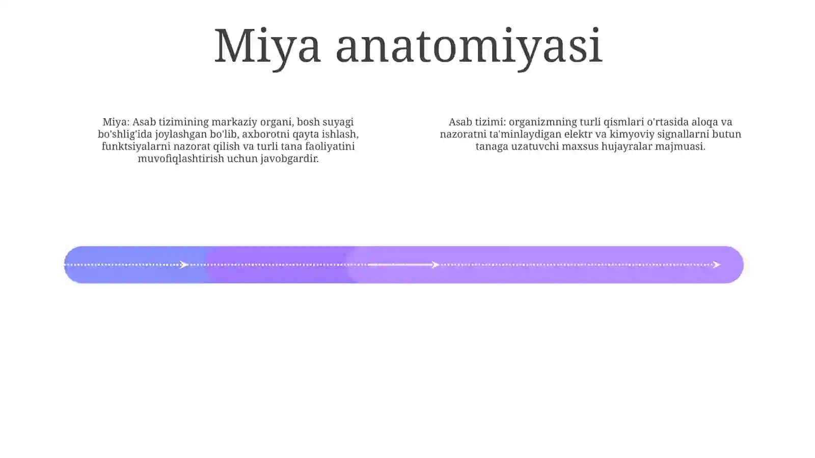 Miya 3