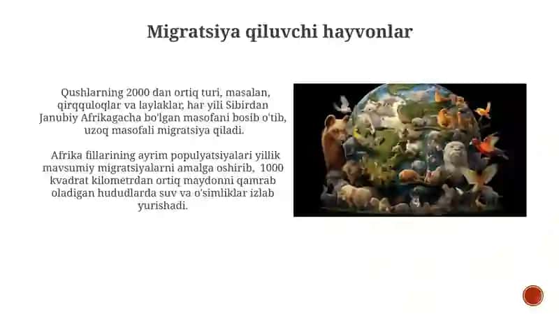 Hayvonlarning ekologik guruhlari 3