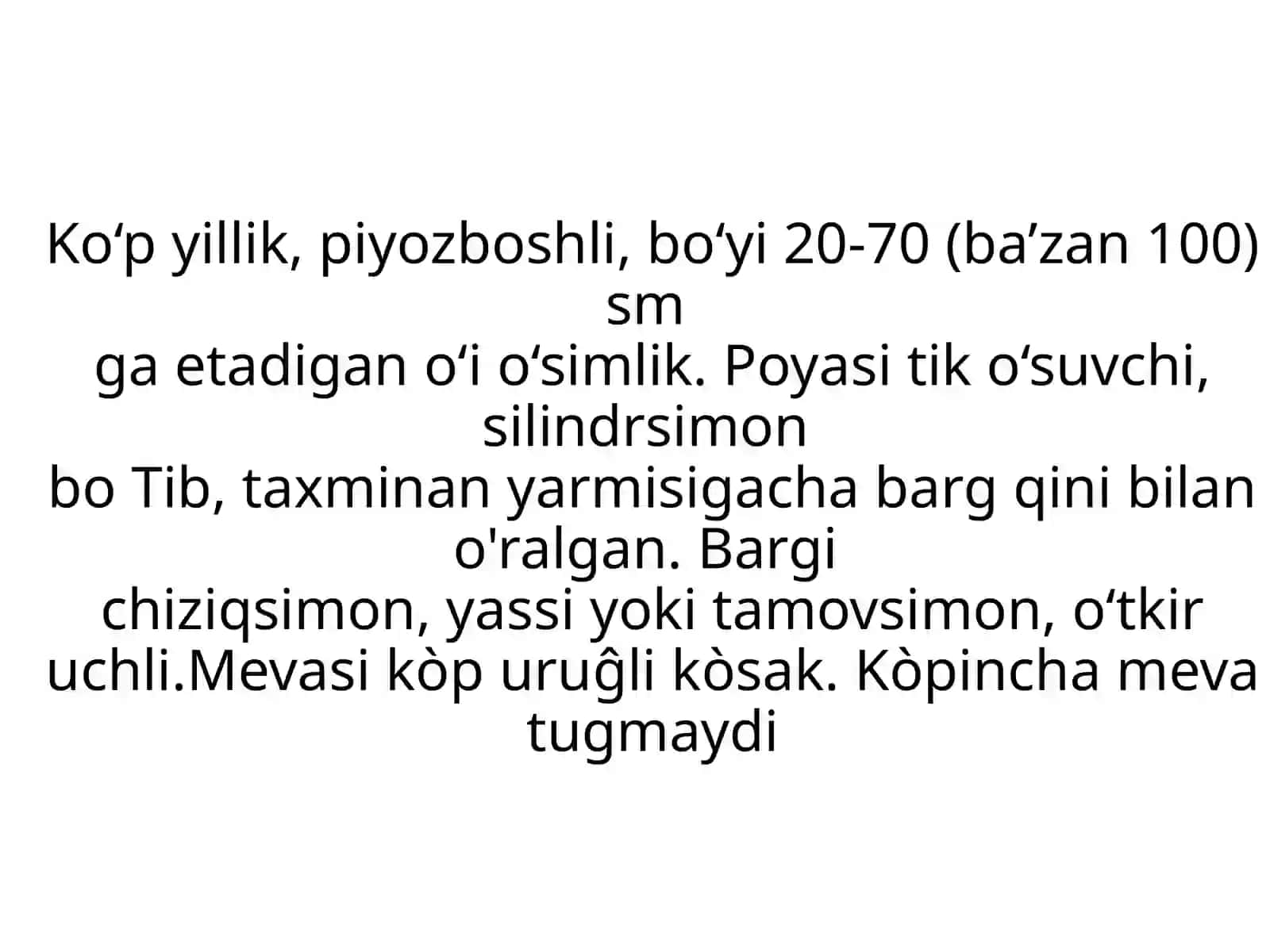 SARIMSOQ PIYOZ (SASSIQ PIYOZ) 3