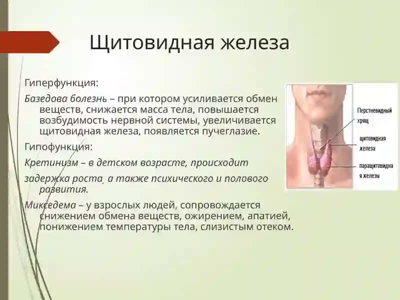 Эндокринные нарушения 3