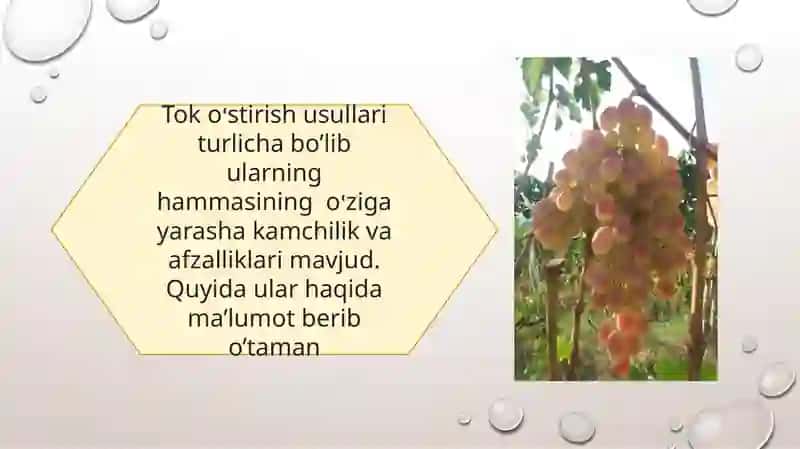 Tok oʻstirish usullari 3