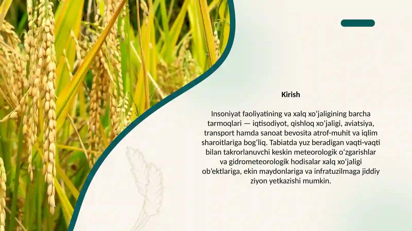 “Xalq xo`jaligi uchun xavfli bo`lgan metreologik hodisalar” 3