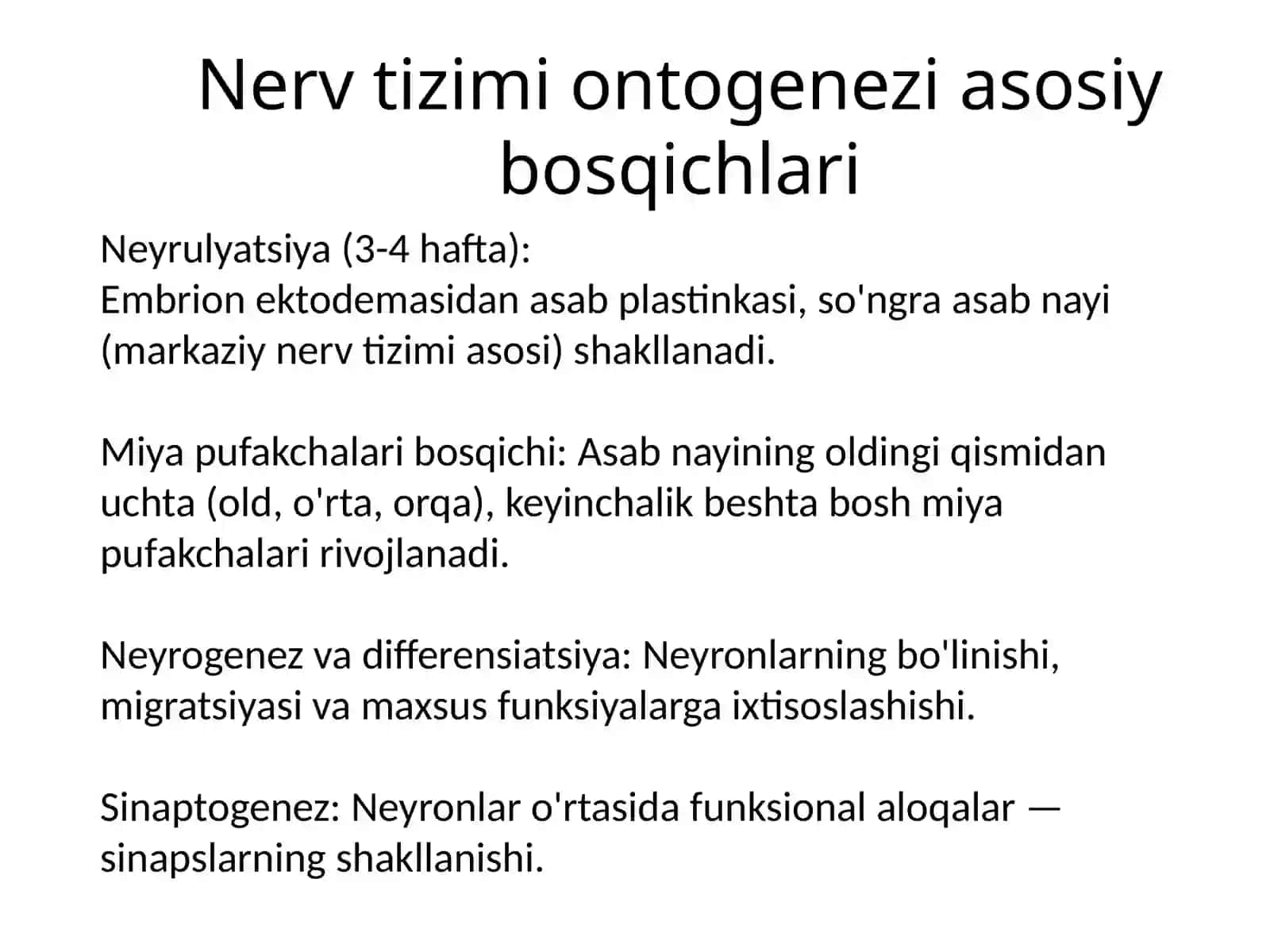 Nervsistemasi ontogenezi 3