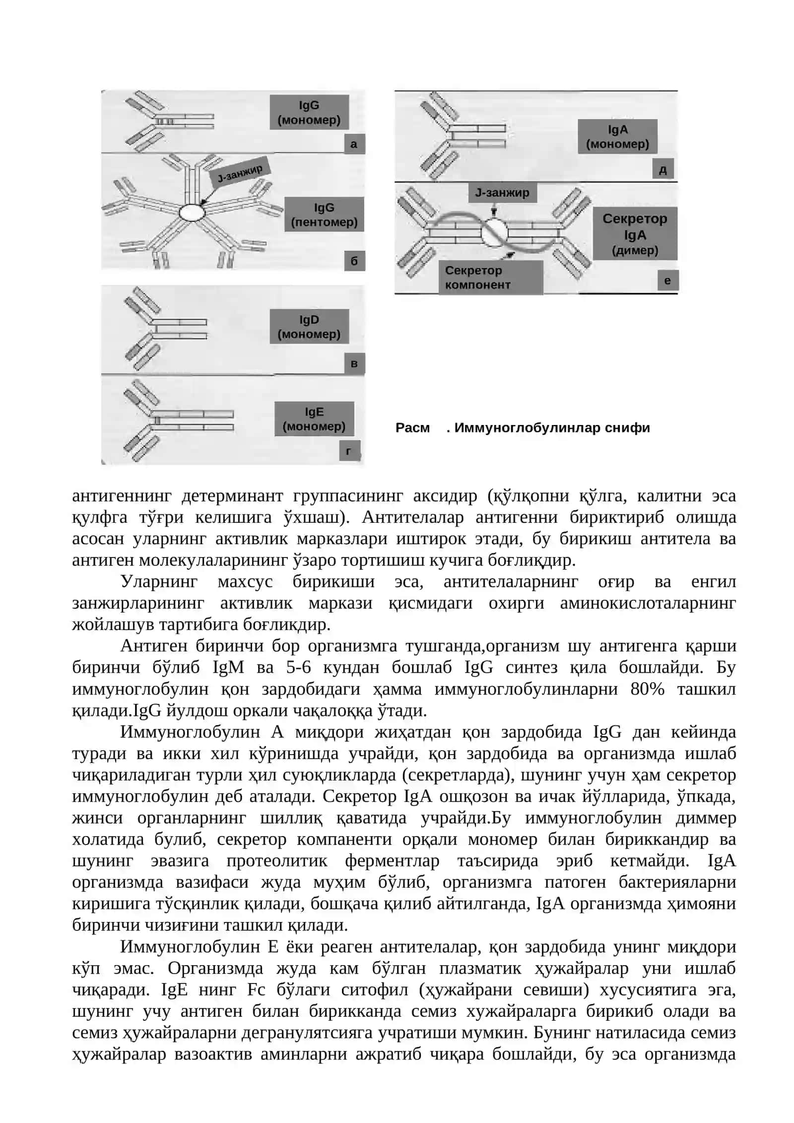 Кумбс реакцияси (КР) 3