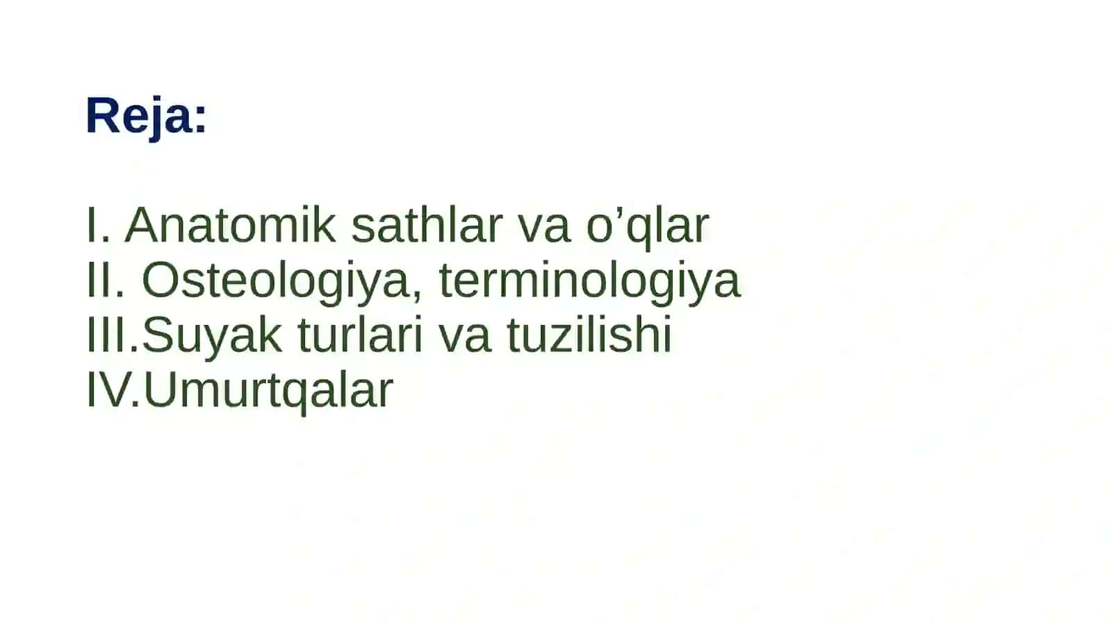 Anatomiya.Osteologiya 3