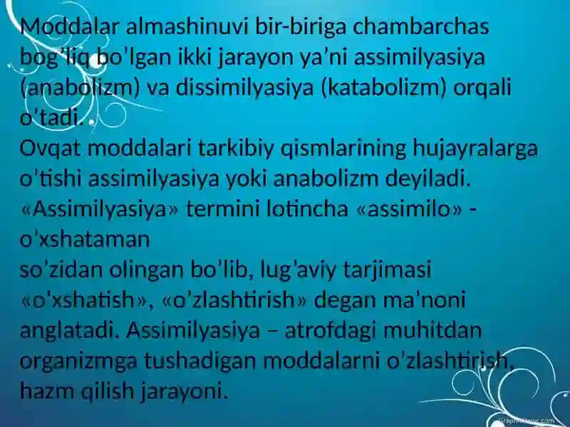 Mitaxondrial kasalliklar 3