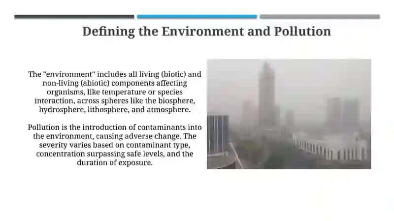 The Environment and Pollution 3