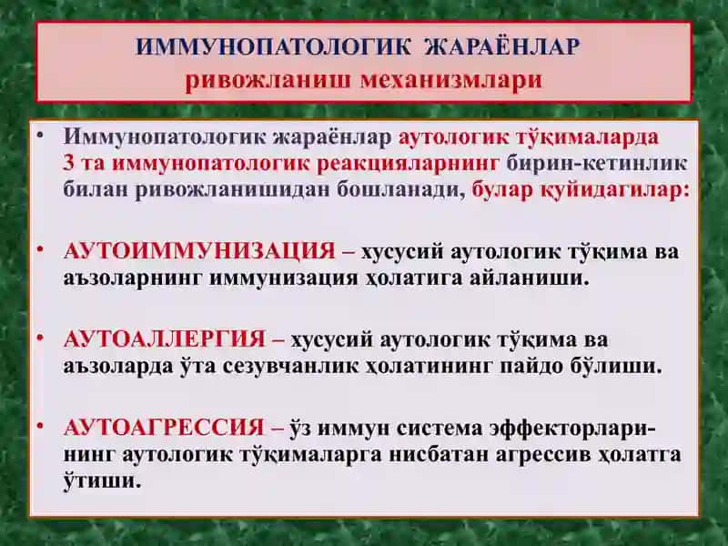 ИММУНОГЕНЕЗНИНГ СХЕМАТИК ТАСВИРИ 3