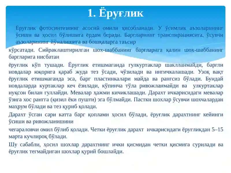Ёруғлик 3