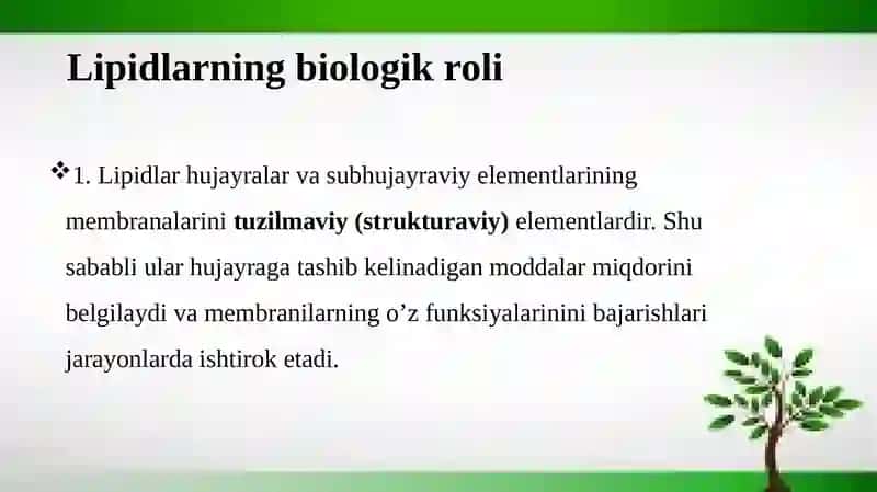 Lipidlar va oddiy yog’lar 3