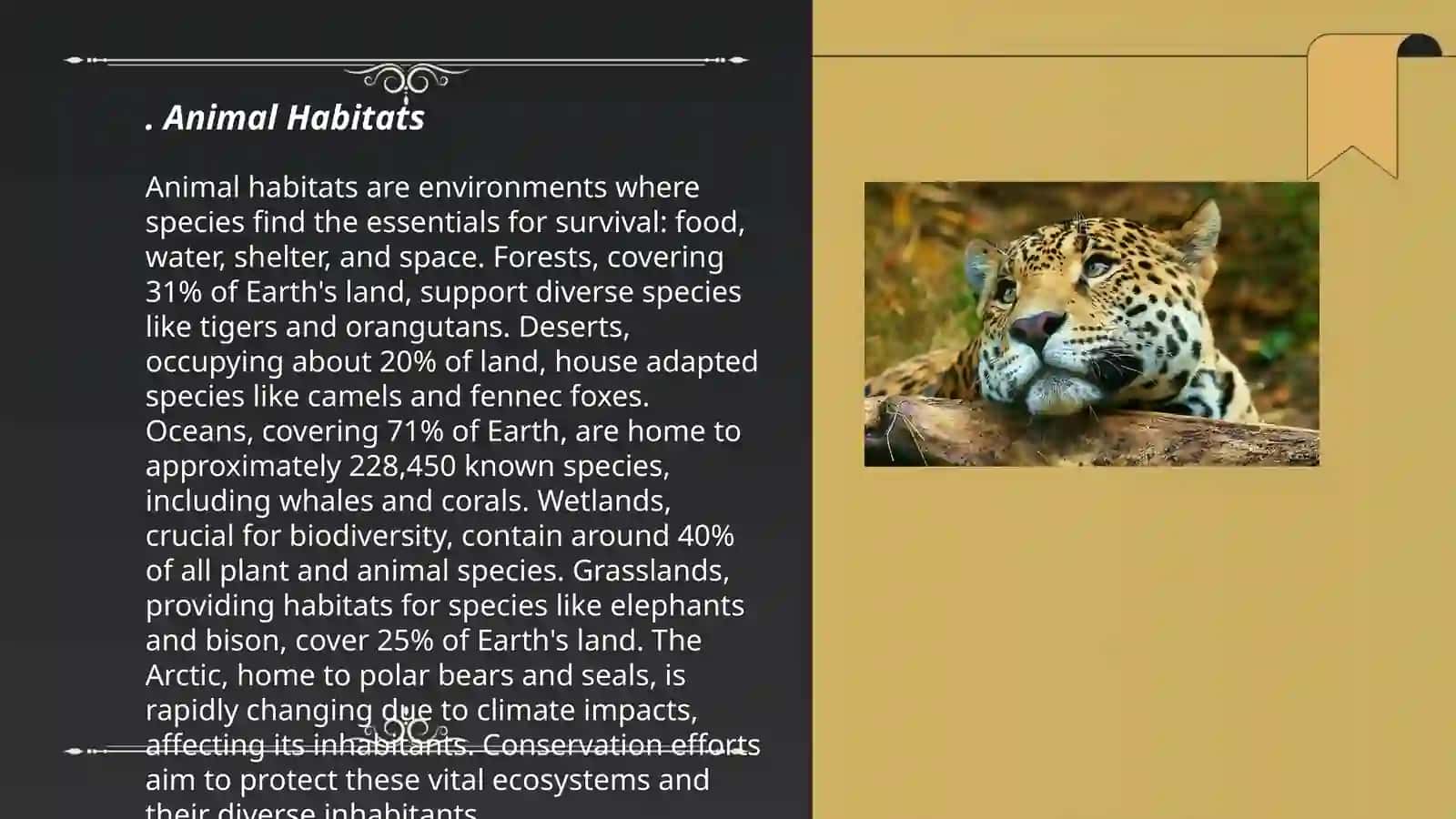 Animal Habitats 3