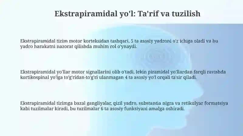 Ekstrapiramidal yo'l 3