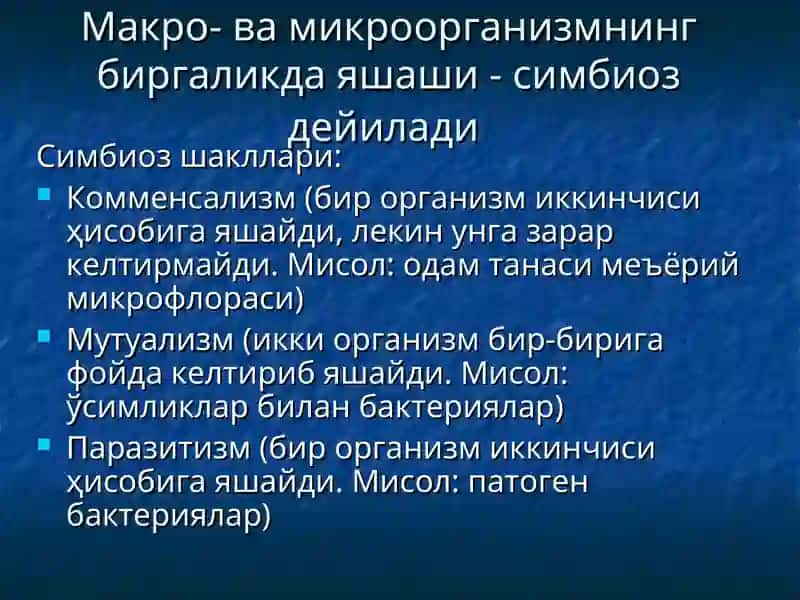 Инфекция 3