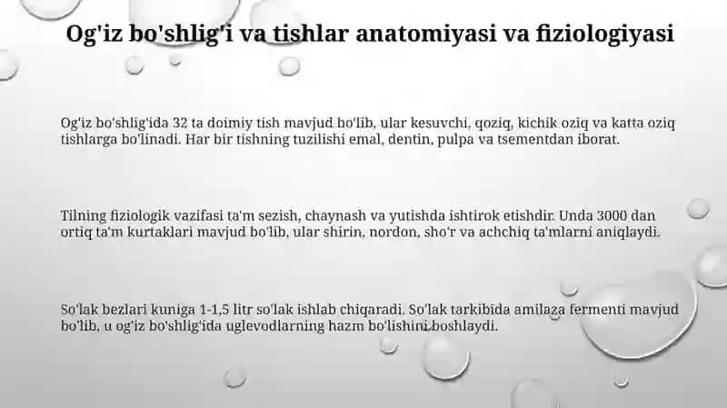Og’iz bo’shlig’i va hazm yo’llari 3