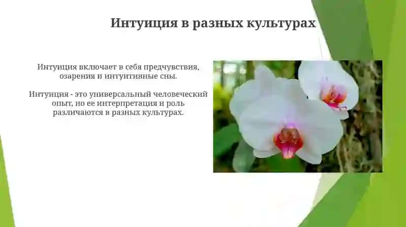 Интуиция в повседневной жизни 3