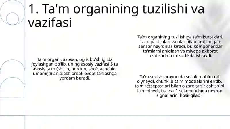 Ta'm bilish a'zosining morfo-funksional tavsifi 3