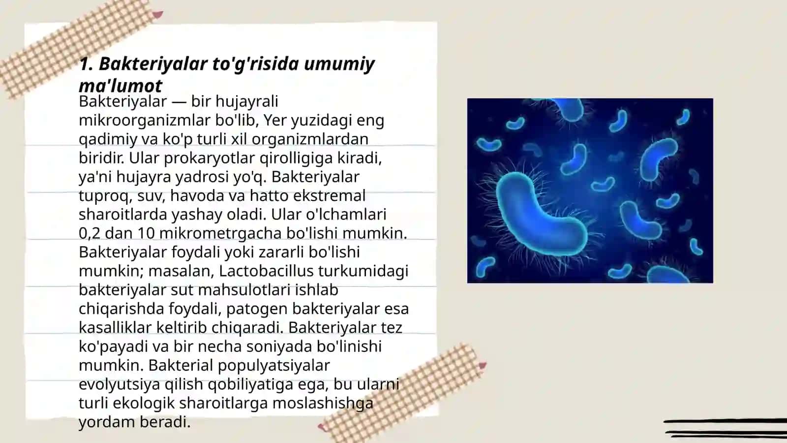 Bakteriyalar 3