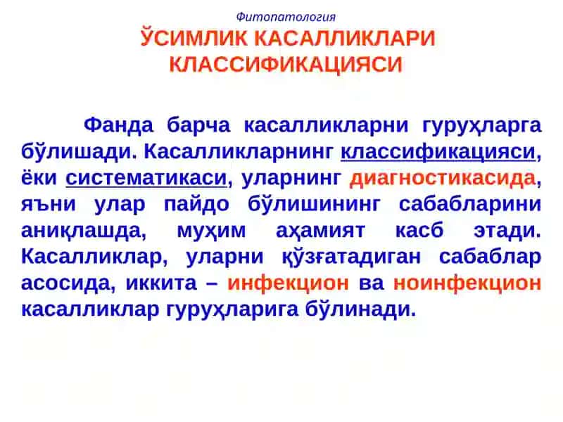 Фитопатология 3