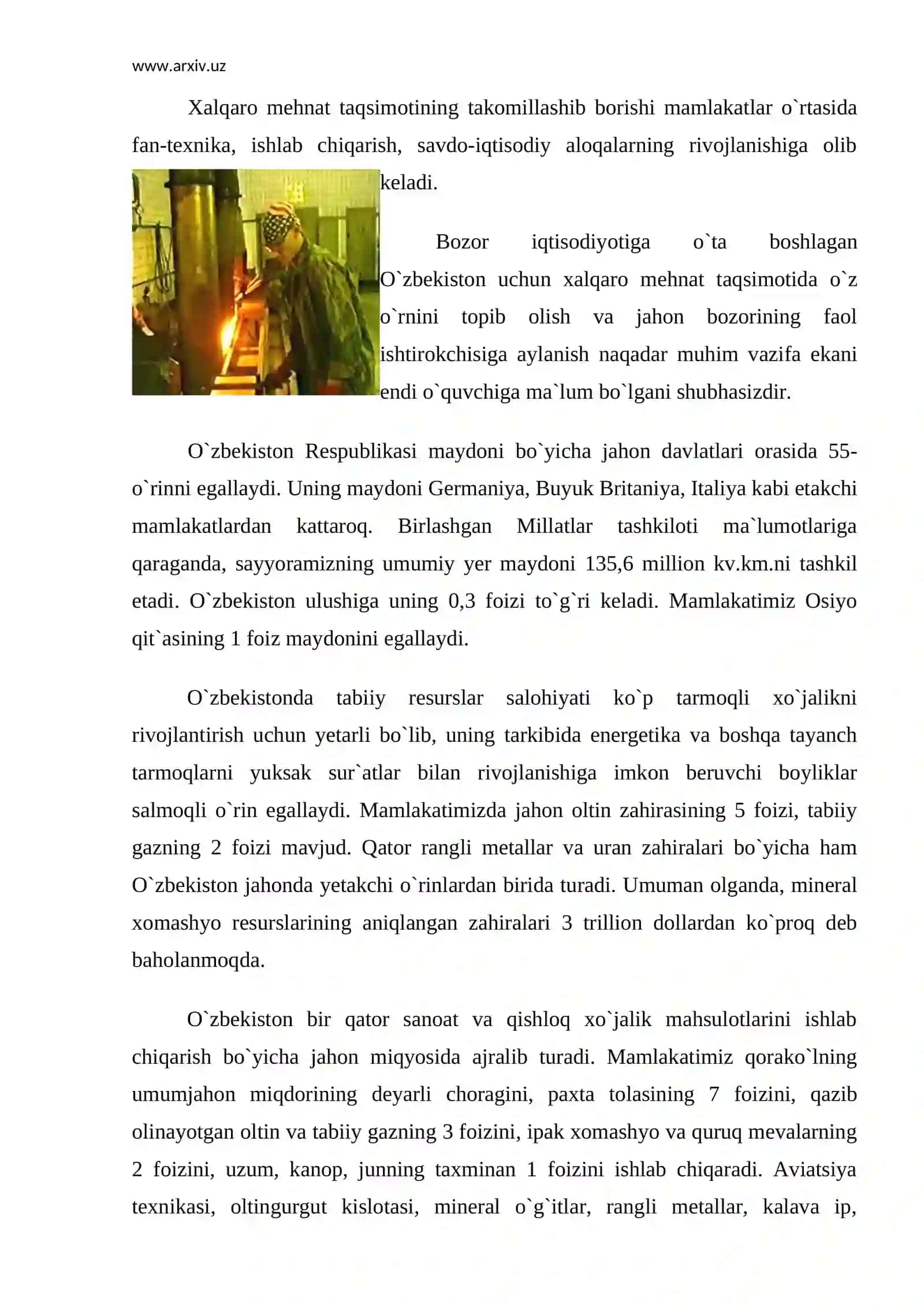 Xalqaro mehnat taqsimoti 3