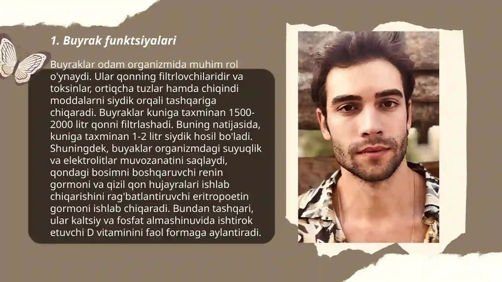 Buyrak biokimyosi 3