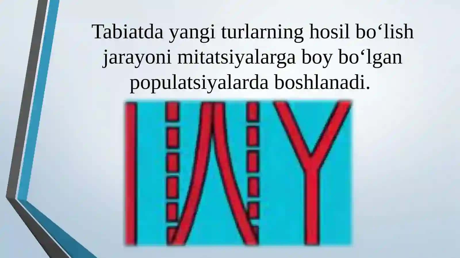 Turlarning paydo bo`lishi 3