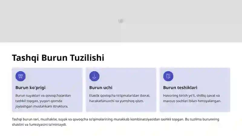 Burun va Burun Bo'shlig'i Tuzilishi 3