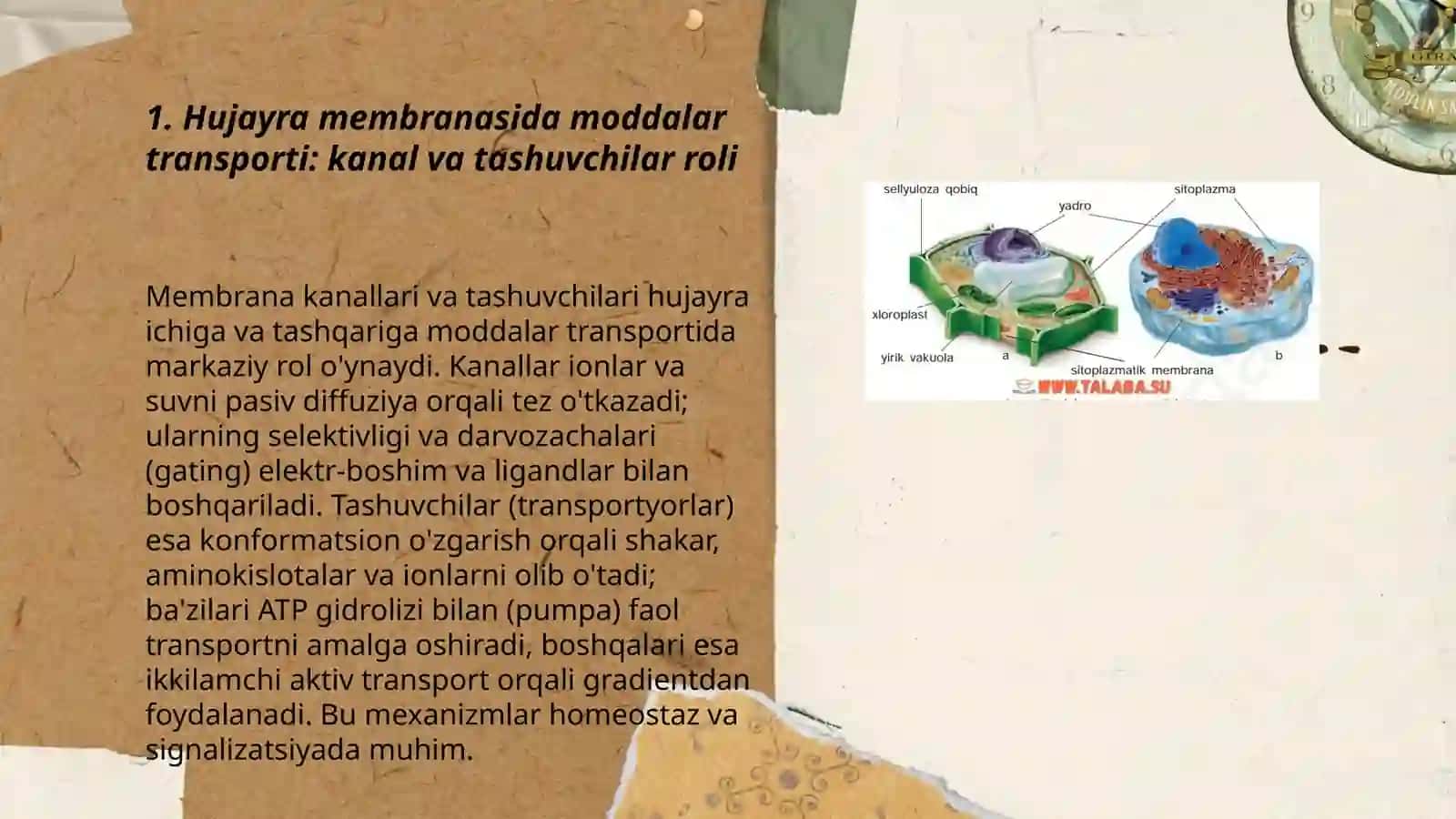 Hujayrada Membrana Transporti 3