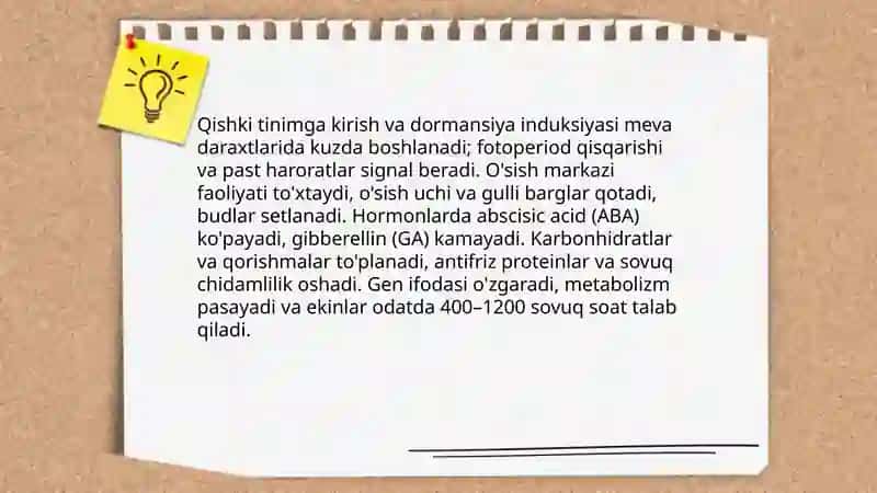 Meva daraxtlarida oʻsuv va tinim fenofazalari 3