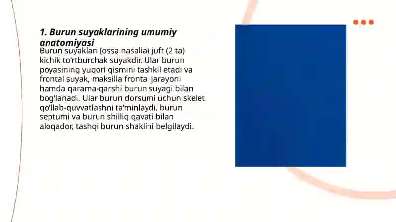 Odam Anatomyasi burun suyaklari 3