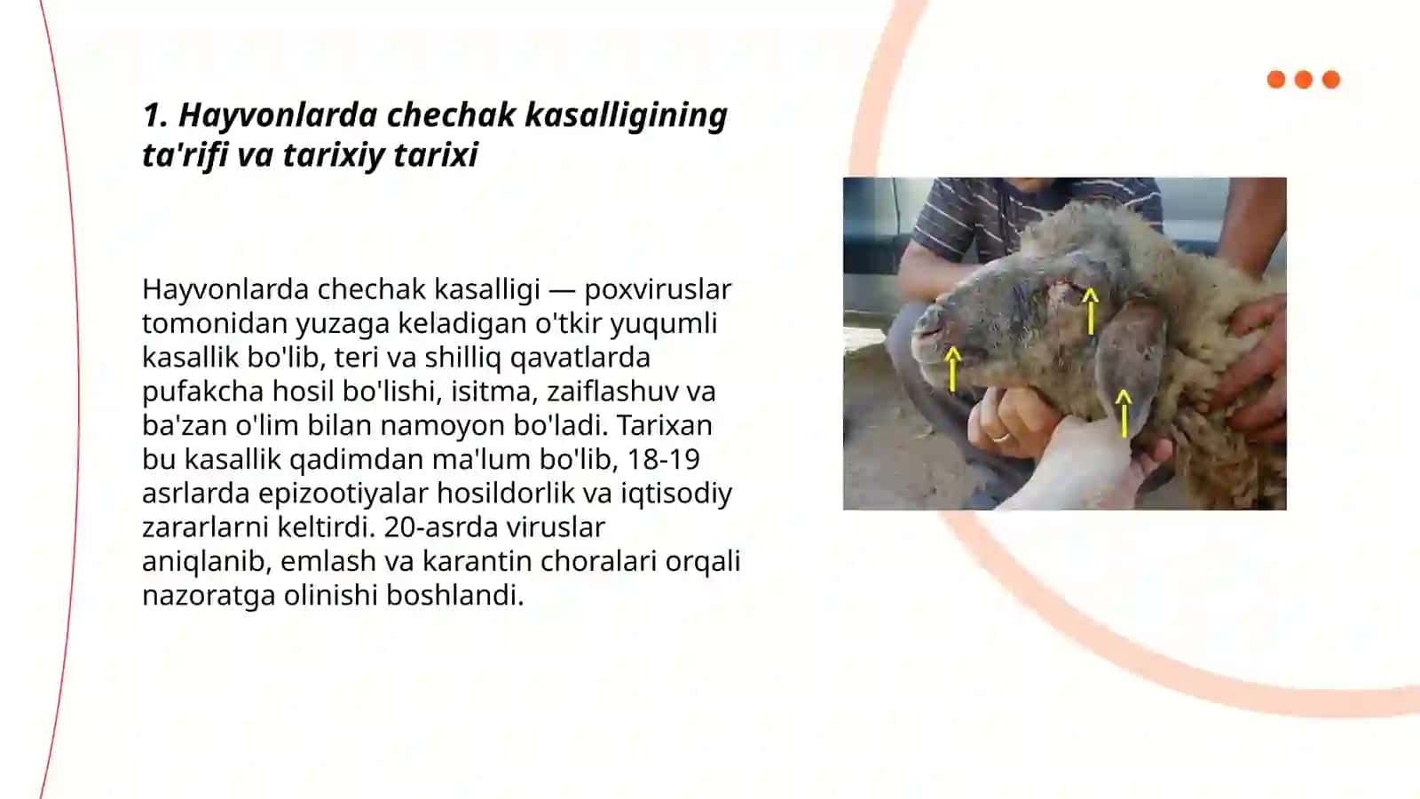Hayvonlarda chechak kasalligi 3