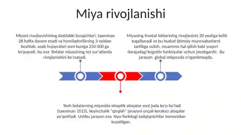 Bosh miyaning ishlash tamoyillari 3