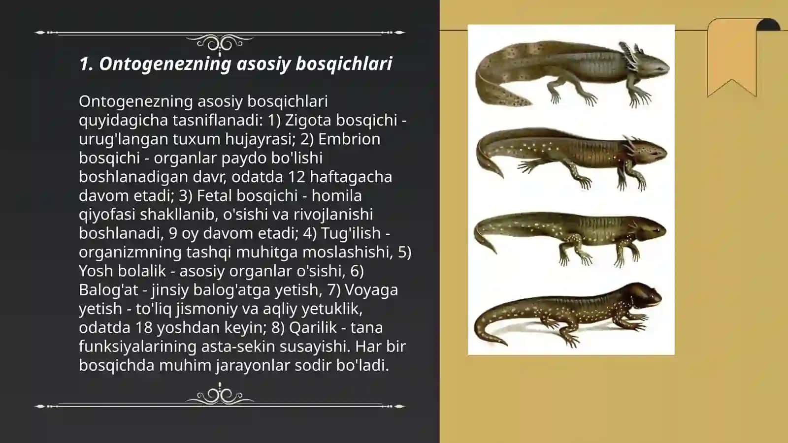 Ontogenezda fillogenezning takrorlanishi 3