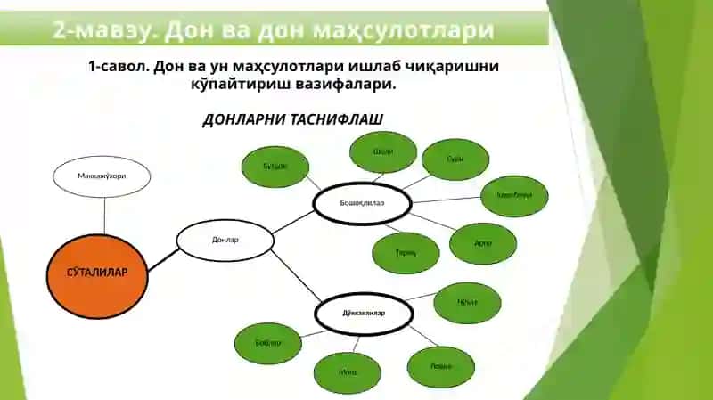 Товаршунослик 3