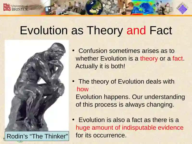 Evolution 3