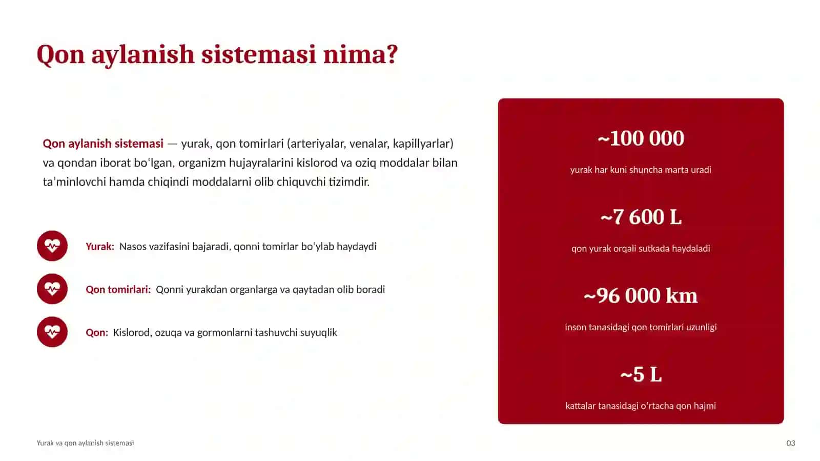 yurak qon aylanish sistemasi 3