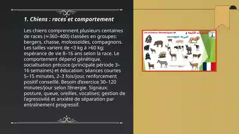 Les animaux domestique 3