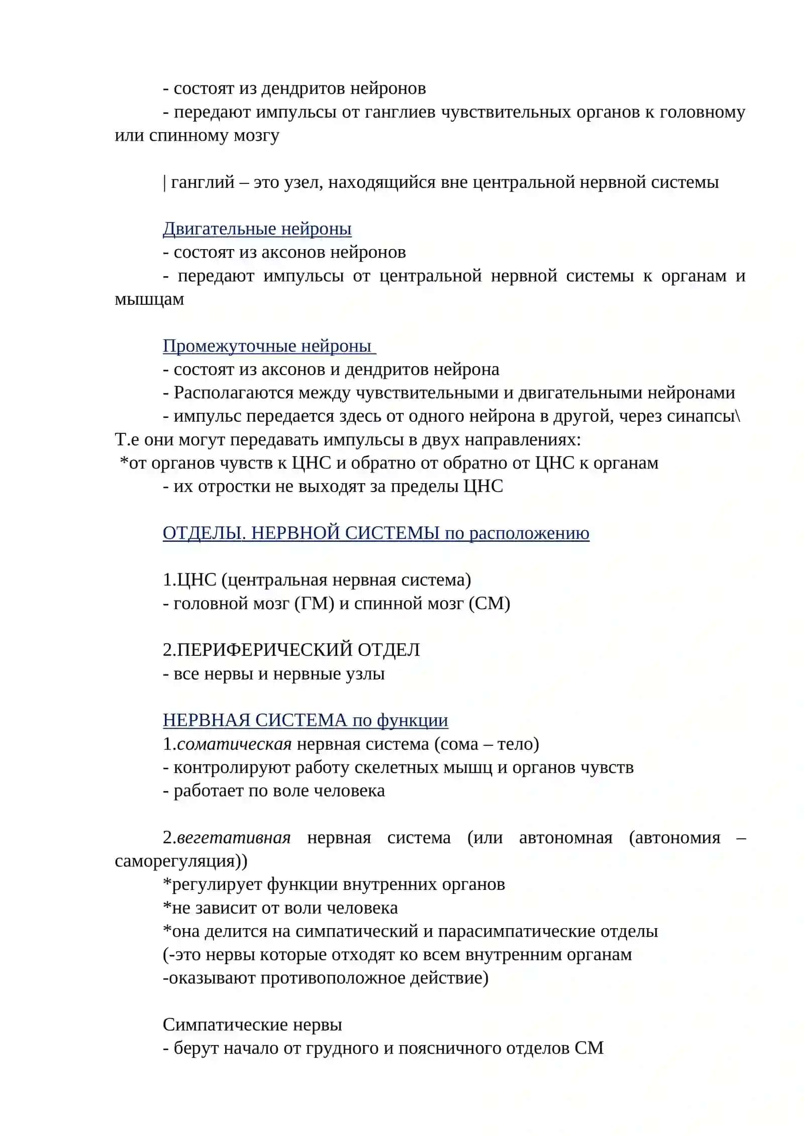 Нервная система 3
